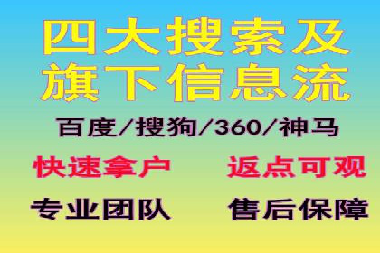 成功SEM服务案例分析报告